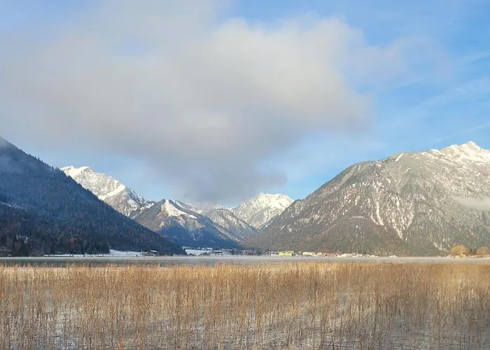 Bichler's Alpennest Apartment *