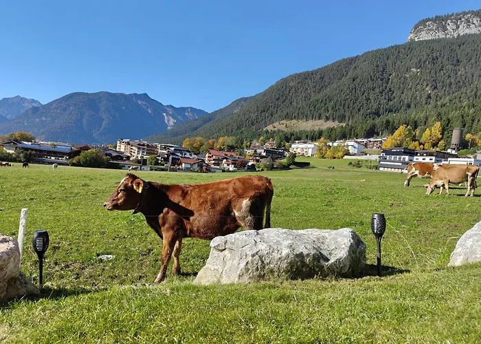 Apartment Bichler's Alpennest *