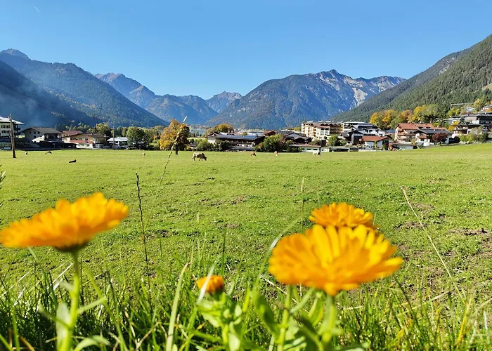 Bichler's Alpennest *