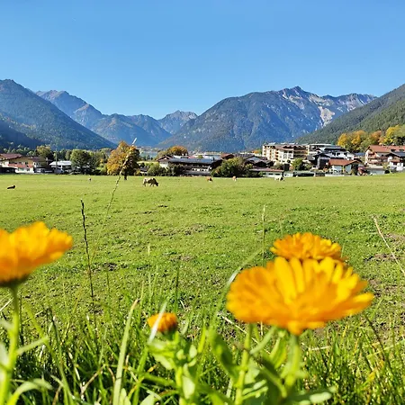 Bichler's Alpennest *