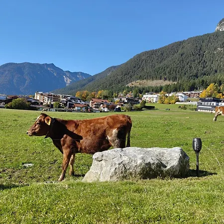 Lägenhet Bichler's Alpennest *